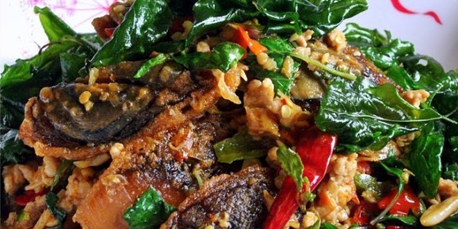 ไข่เยี่ยวม้าผัดใบกะเพรา อาหารภาคกลาง