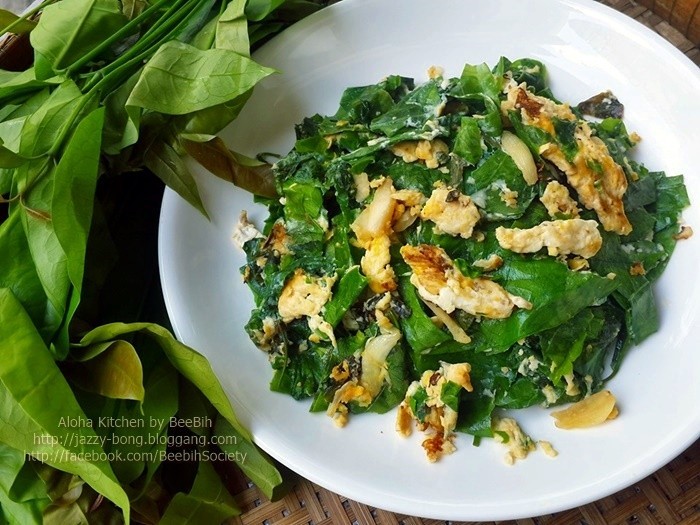 ผัดยอดเหรียงน้ำมันหอย (สากล) อาหารภาคใต้