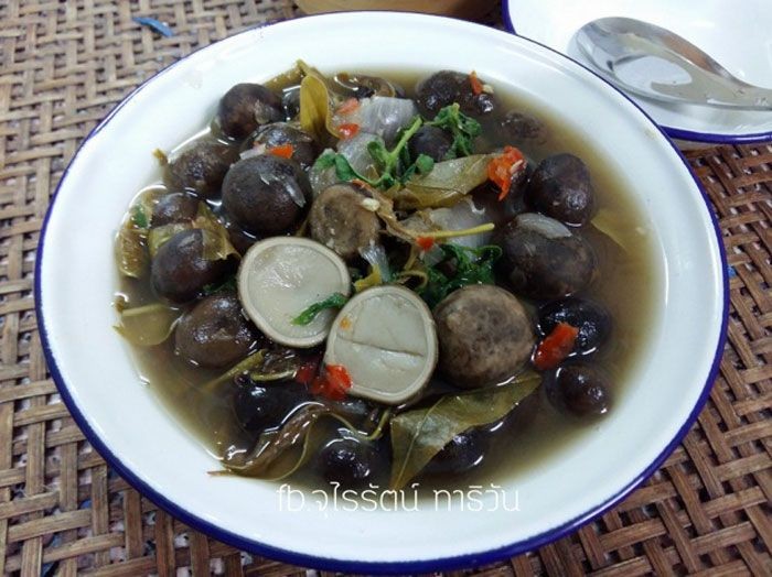แกงอ่อมเห็ดเผาะ (ดั้งเดิม) อาหารภาคเหนือ