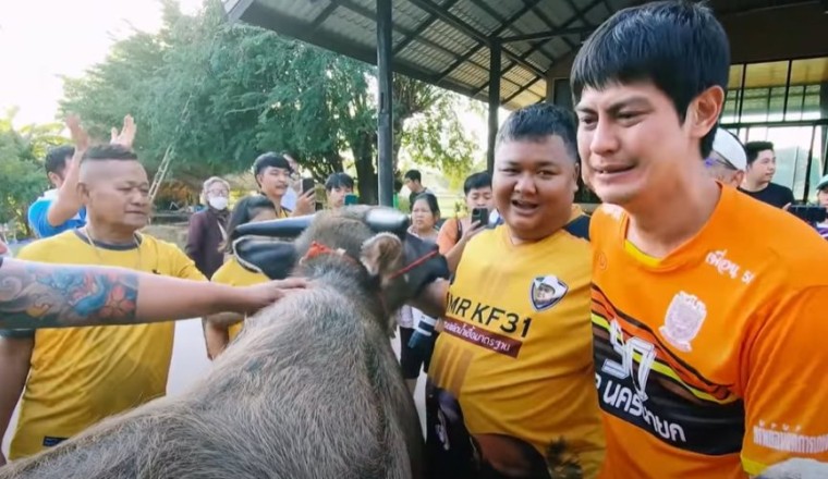 น้ำตาพระเอก! น้ำ รพีภัทร เปิดเหตุผลที่ขายควายทั้งน้ำตา มูลค่ากว่า 2 ล้านบาท