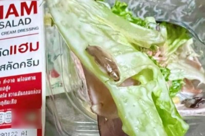ออแกนิคจัดๆ สาวซื้อสลัดจากร้านสะดวกซื้อ กินได้ไม่กี่คำเจอ แมลงสาบ ยันเพิ่งเปิดกล่อง