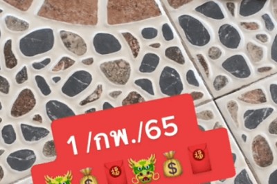 ขนลุก! งวดที่แล้วเข้าตรงๆ 30-08 งวดนี้ 17/2/65 ต้องตามต่อ อย่าพลาด เลขเด็ดจาก “เต่านำโชค”