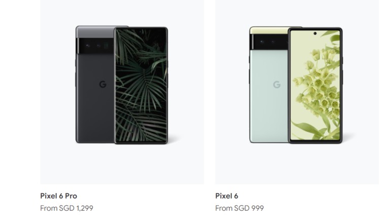 ใกล้เข้ามาอีกนิด กูเกิลวางขาย Pixel 6 ในสิงคโปร์แล้ว