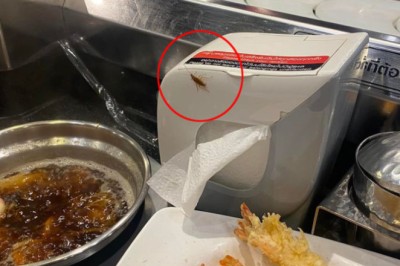 หนุ่มผงะ! กินชาบูบุฟเฟ่ต์เจ้าดัง เจอแขกไม่ได้รับเชิญออกมาต้อนรับ อิ่มทันทีเลย