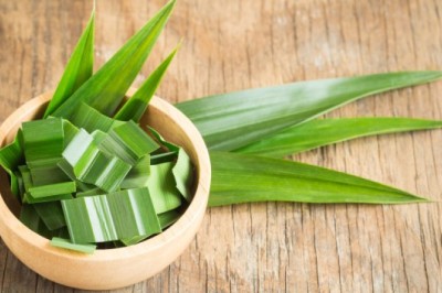 ใบเตยความหอมที่ไม่เคยเชย