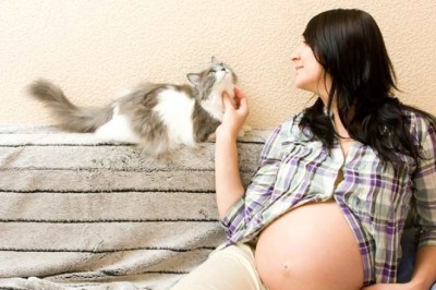 ทำอย่างไรเมื่อสาวกแมวตั้งครรภ์