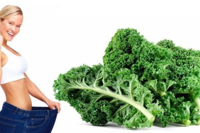 ผักเคล  ผู้ช่วยไดเอทมากคุณค่า