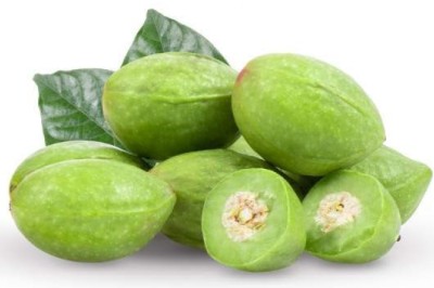 สมอไทย สรรพคุณและประโยชน์