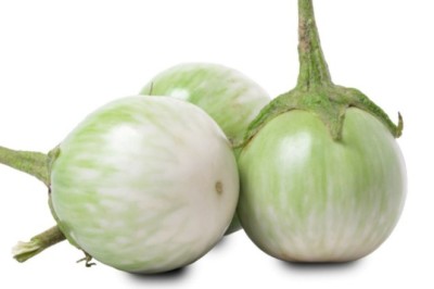 มะเขือเปราะยาดีแก้โรคเบาหวาน