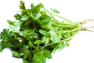ผักชี สรรพคุณและประโยชน์
