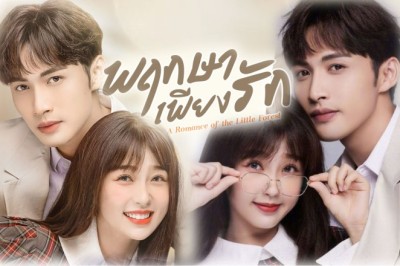 ซีรี่ย์จีน พฤกษาเพียงรัก A Romance of the Little Forest พากย์ไทย EP.1-35 จบ