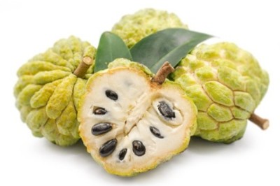 น้อยหน่า สรรพคุณและประโยชน์