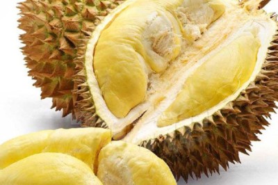 ทุเรียน สรรพคุณและประโยชน์
