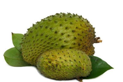 ทุเรียนเทศ สรรพคุณและประโยชน์