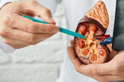 ไตวายโรคร้ายที่พึงระวัง