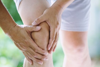 ไม่อยากเป็นโรคเกาต์โหระพาช่วยได้