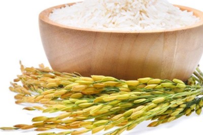 ข้าว สรรพคุณและประโยชน์