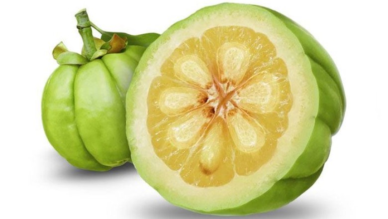 ส้มแขก สรรพคุณและประโยชน์