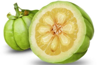 ส้มแขก สรรพคุณและประโยชน์