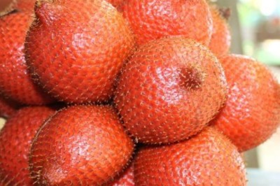 ระกำ สรรพคุณและประโยชน์