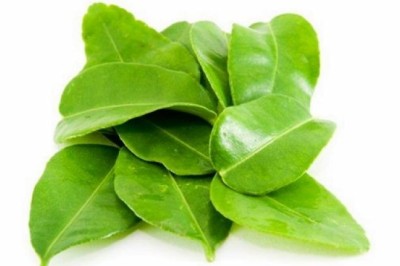 อยากได้ข้าวสะอาดห้ามพลาดใบมะกรูด