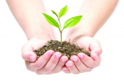 ปลูกต้นไม้...หายป่วย