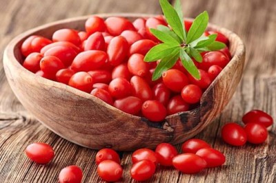 มหัศจรรย์ของโกจิเบอร์รี่