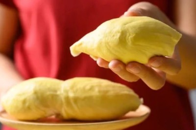 กินทุเรียนแล้วผอม