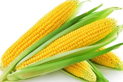 ข้าวโพดกินแล้วไม่อ้วน