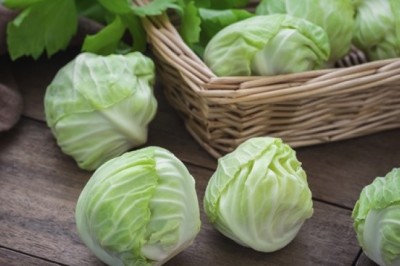 กะหล่ำดาว ผักอินเทรนด์ มากประโยชน์