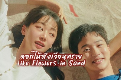 ซีรี่ย์เกาหลี ดอกไม้สังเวียนทราย Like Flowers in Sand ซับไทย EP.1-12 จบ