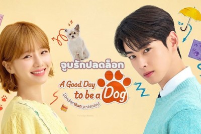 ซีรี่ย์เกาหลี จูบรักปลดล็อก A Good Day To Be A Dog พากย์ไทย EP.1-16 จบ