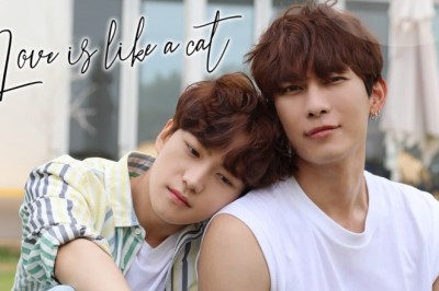ซีรี่ย์วาย รักนี้ หมาหรือแมว Love is Like a Cat (2024) ซับไทย EP.1-12 จบ
