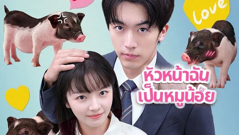ซีรี่ย์จีน หัวหน้าฉันเป็นหมูน้อย My Piggy Boss (2024) พากย์ไทย EP.1-12 จบ