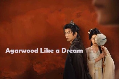 ซีรี่ย์จีน ไม้กฤษณาเหมือนฝัน Agarwood Like a Dream (2024) ซับไทย EP.1-20 จบ