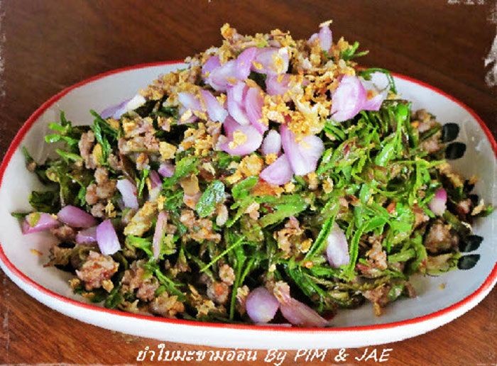 ยำยอดมะขาม อาหารภาคเหนือ