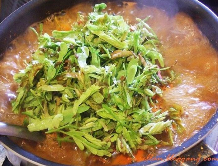 แกงส้มปลากระบอกยอดมะขาม (สากล) อาหารภาคใต้