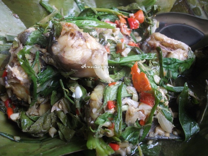 หมกปลาดุก (สากล) อาหารภาคอีสาน