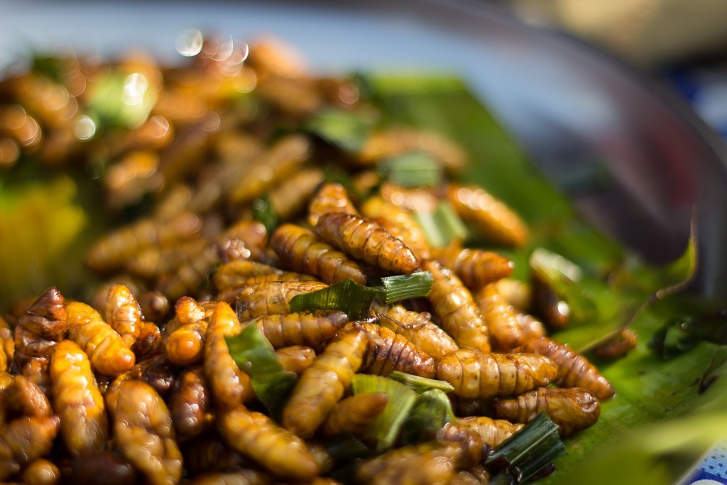 รถด่วนทอด อาหารภาคเหนือ