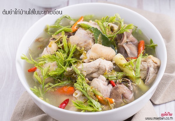 ไก่ต้มใบมะขามอ่อน อาหารภาคกลาง