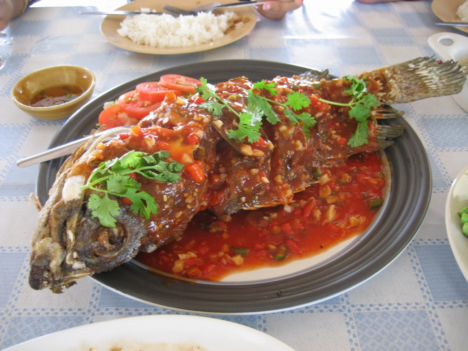 ปลาเก๋าราดพริก อาหารภาคกลาง