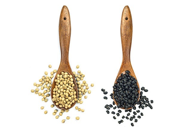 ประโยชน์ของถั่วเหลืองดำ