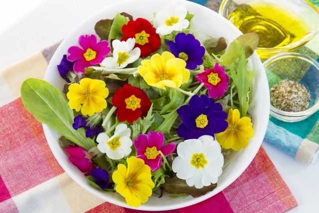 ดอกไม้กินได้ ประโยชน์เพียบ