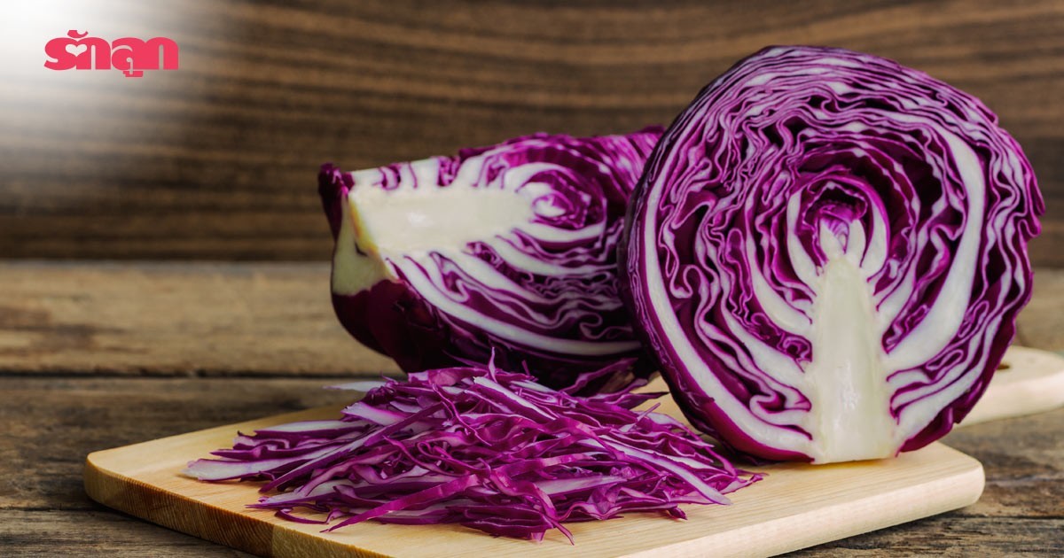 กินกะหล่ำทั้งทีต้องสีม่วง