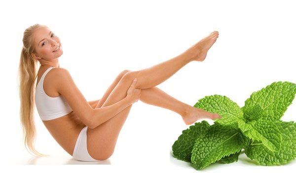 ผอมง่ายๆ ด้วยสะระแหน่