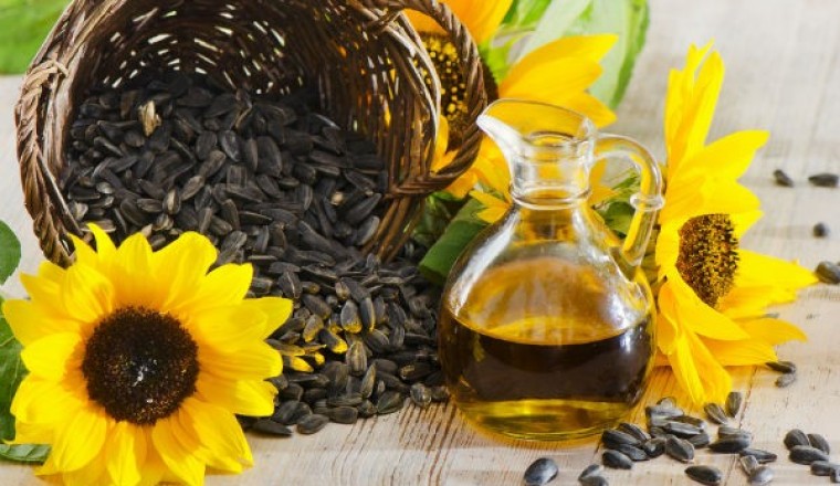 ทานตะวันสารพัดประโยชน์