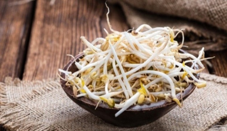 ถั่วงอกจิ๋วแต่แจ๋ว