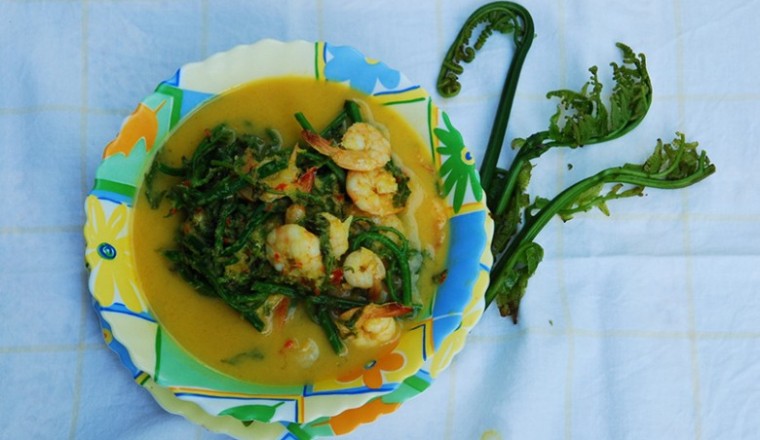 แกงคั่วผักกูดกับกุ้ง อาหารภาคใต้