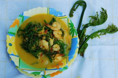 แกงคั่วผักกูดกับกุ้ง อาหารภาคใต้