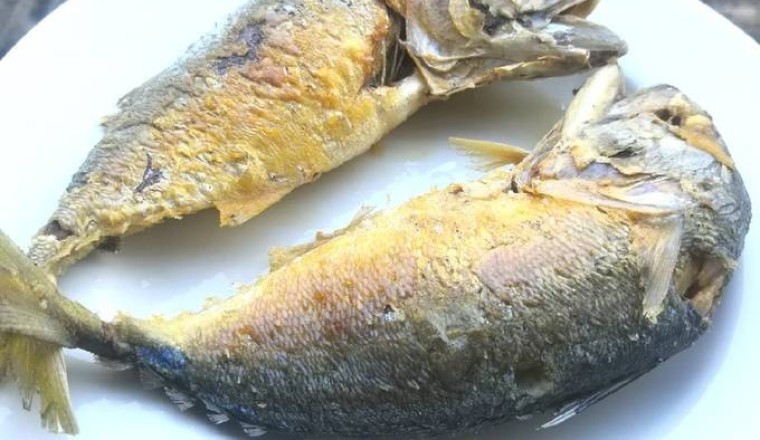 ปลาทูทรงคุณค่า